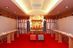 �_�O�����