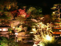 ���C�g�A�b�v���ꂽ���뉀