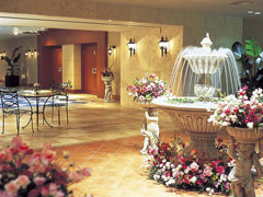 �p���b�c�H�I�[�^�[