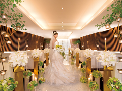 �Z���g���G�]���i�����J