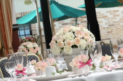 �����t�����[�A�����W�����g