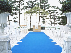 �K�[�f���`���y��