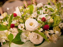 �R�[�f�B�l�[�g