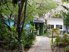 �`���y��