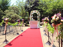 �e���X����