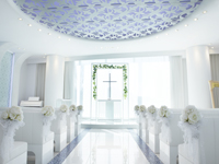 �ڔ��`���y��