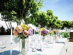 �ԂƗ΂Ɉ͂܂ꂽ�K�[�f��