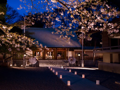 ライトアップ乃木神社