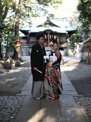 ��X�ؔ����{�a��