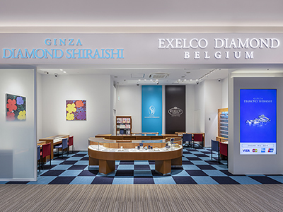 ����_�C�������h�V���C�V ���ہ[�Ə��ÓX