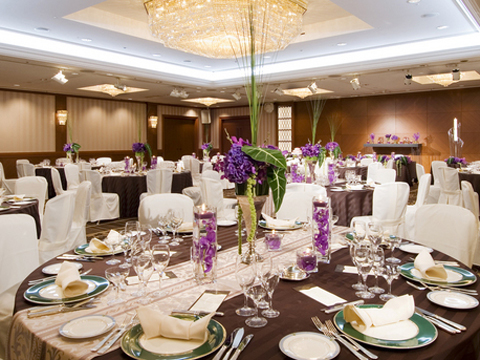 �o���P�b�g���[���@��